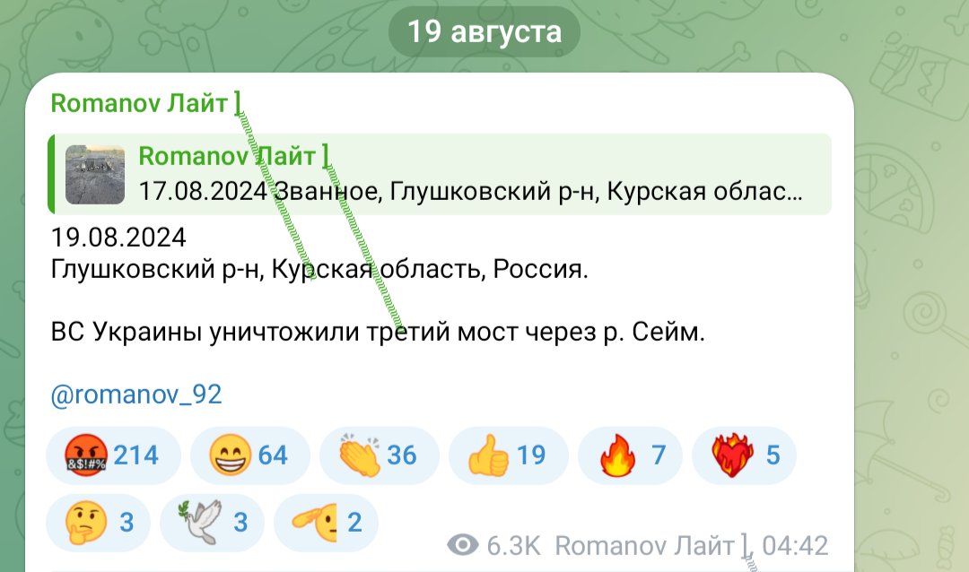 Последний мост через реку Сейм в селе Карыж был разрушен, - российский блогер