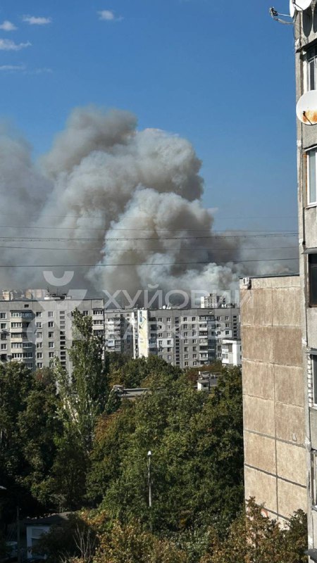 Под Харьковом произошел крупный лесной пожар