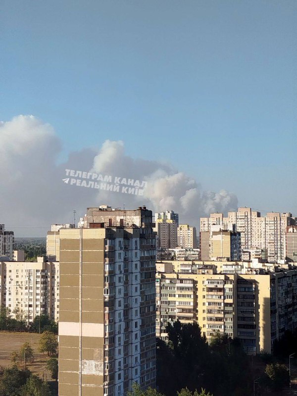 В Вышгородском районе Киевской области произошел крупный лесной пожар.