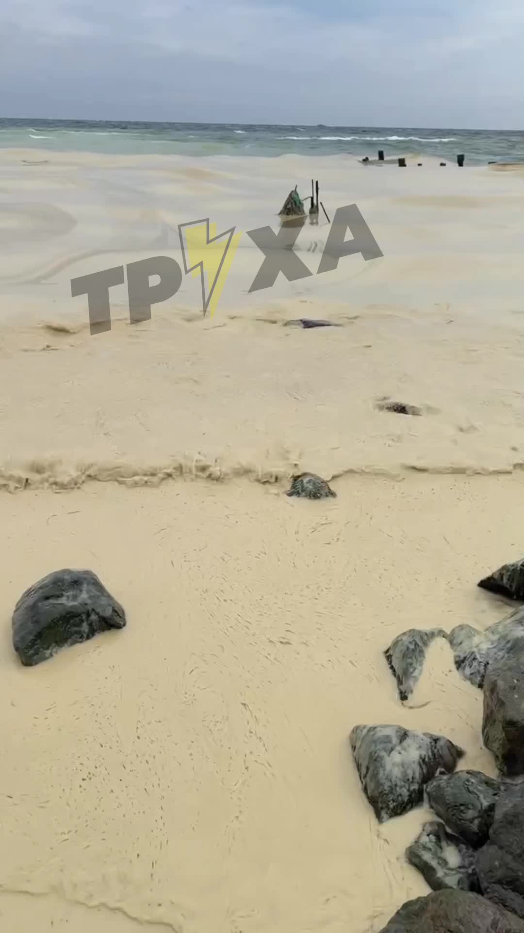 La mer près de Pivdenne, dans la région d'Odessa, est polluée par de l'huile de graines, suite aux frappes russes sur les infrastructures portuaires.