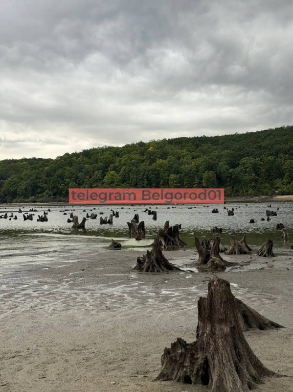 Белгородское водохранилище обмелело после попадания беспилотника в плотину в середине июля